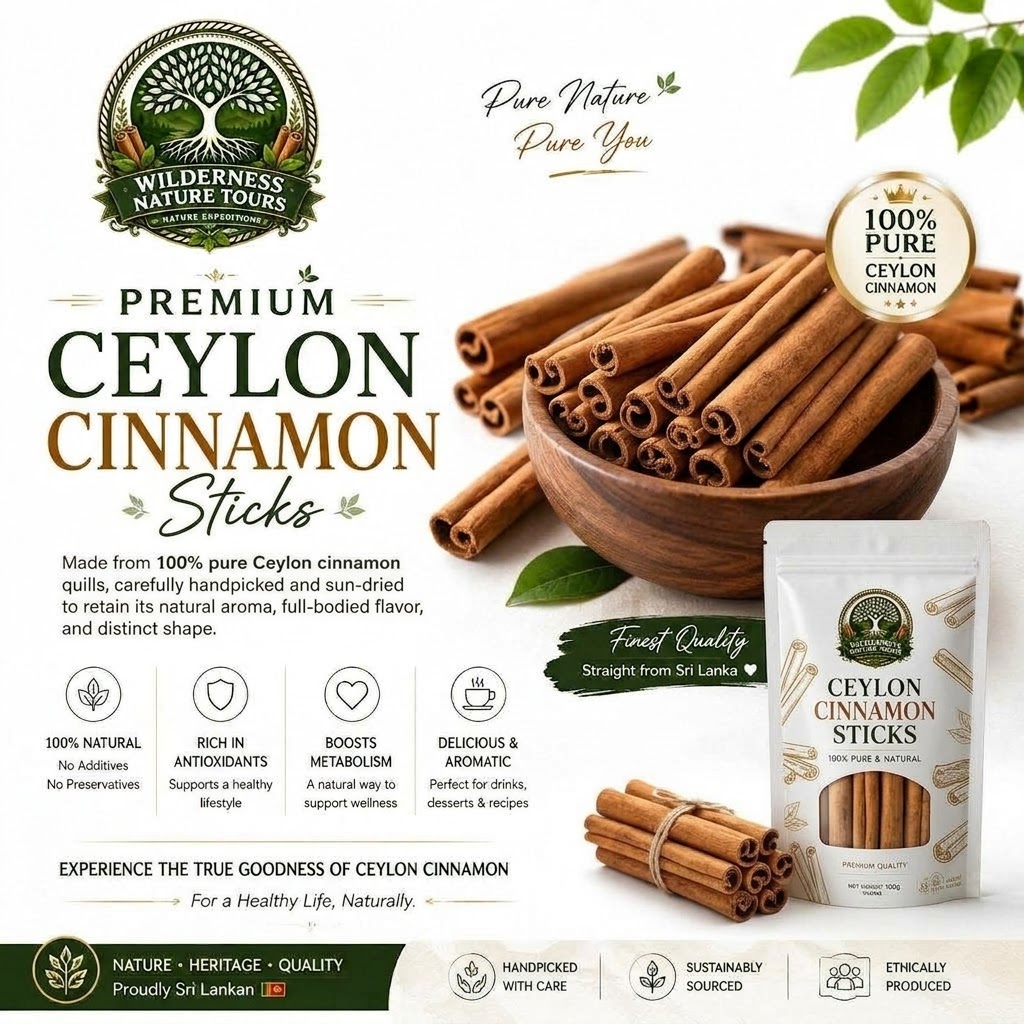 Ceylon cinnamon sticks arranged together